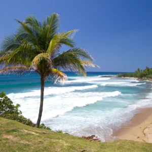 Rincon Reset:  Sea Glass Escape Deposit